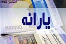 ۸ درصد یارانه‌بگیران به تغییرات «دهک» خود اعتراض کردند