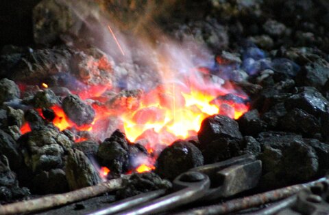 زغال‌سنگ‌ در خواب زمستانی