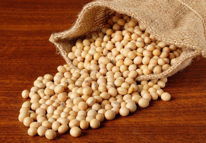 جایگزینی دانه سویا با کنجاله در فهرست تهاتر نفت را پیشنهاد دادند