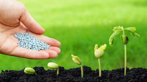 شرکت‌های دانش‌بنیان تولیدکننده نهاده‌های کشاورزی حمایت می‌شوند