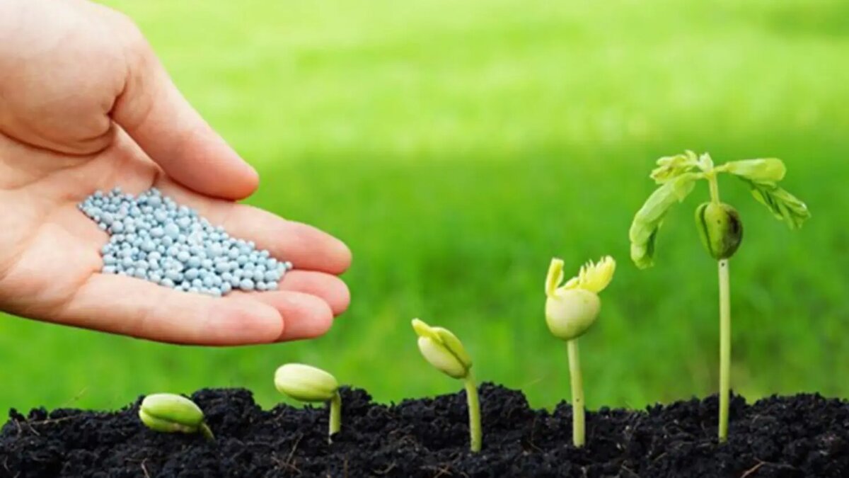 شرکت‌های دانش‌بنیان تولیدکننده نهاده‌های کشاورزی حمایت می‌شوند