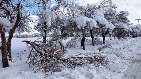 کشاورزان و باغداران هشدار سرما را جدی بگیرند