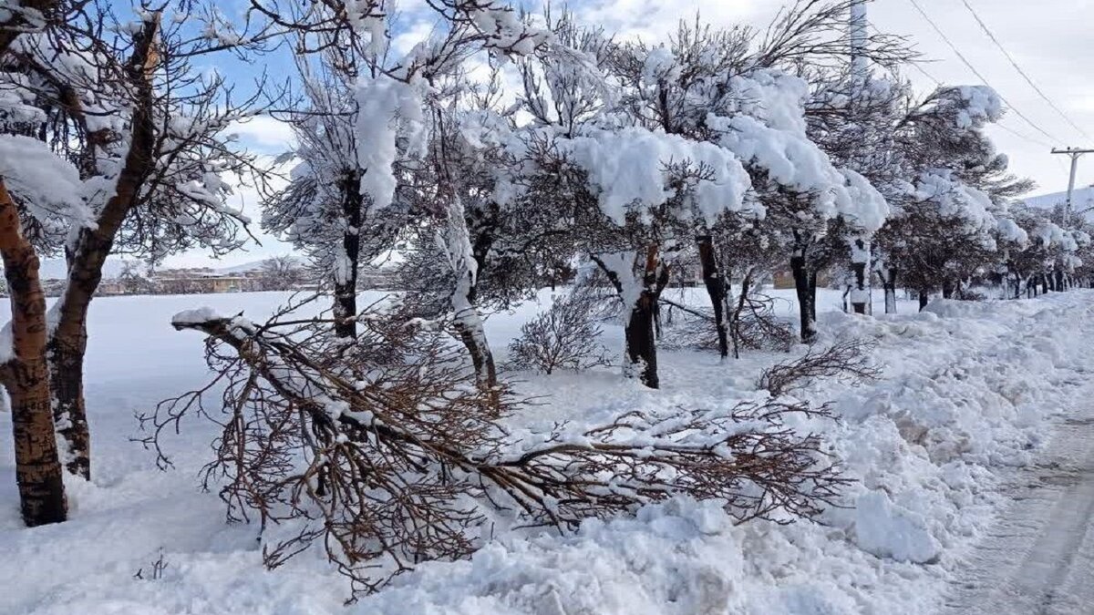کشاورزان و باغداران هشدار سرما را جدی بگیرند