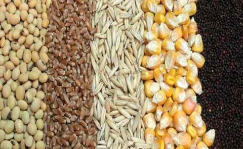 قیمت انواع نهاده‌های دامی و محصولات کشاورزی ۷ اسفند ۱۴۰۲