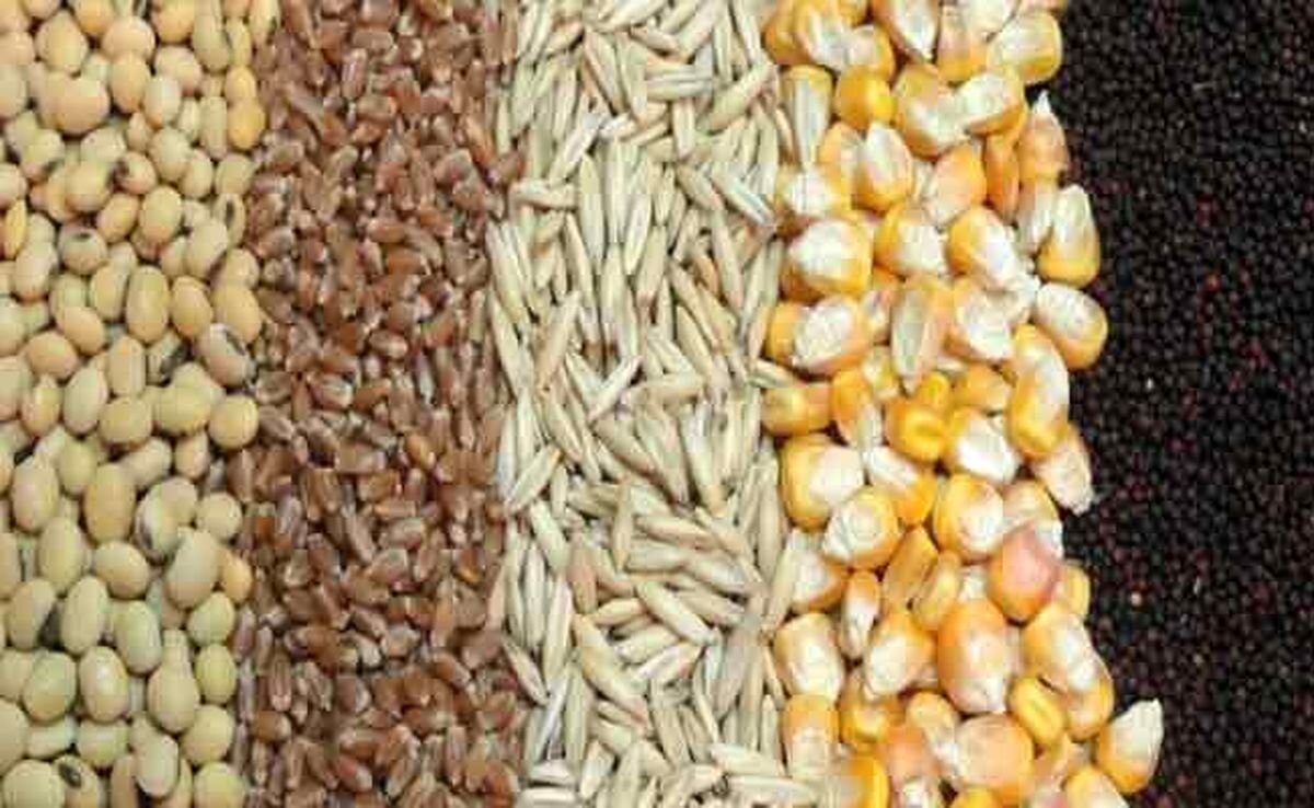 قیمت انواع نهاده‌های دامی و محصولات کشاورزی ۷ اسفند ۱۴۰۲