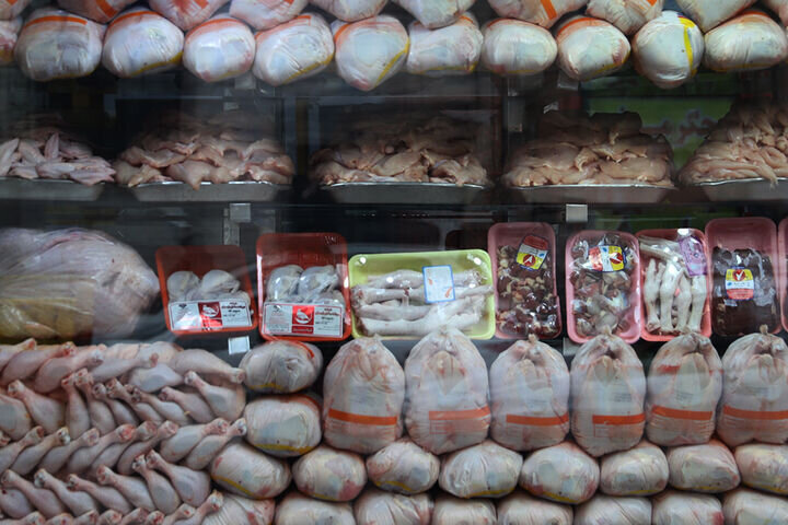 صادرات مرغ متوقف شد