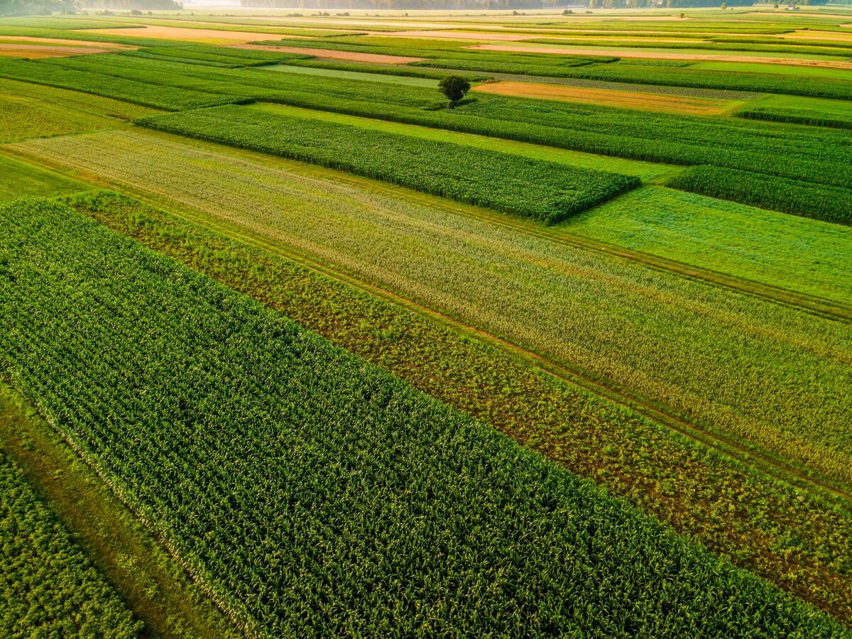 پیشرفت فیزیکی طرح‌ها در اراضی کشاورزی واگذاری هر ۶ ماه یک بار بررسی می‌شود