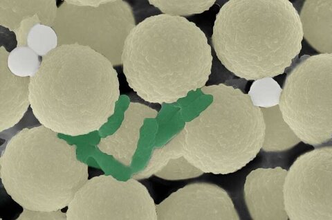 ربات‌های مینیاتوری میکروپلاستیک‌ها را از آب آلوده جذب می‌کنند