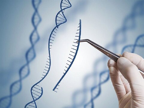 افزایش ضریب شفایابی بیماران، ارمغان درمان مبتنی بر ژنتیک