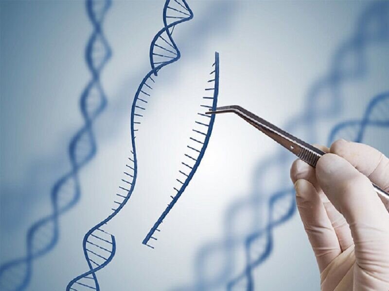 افزایش ضریب شفایابی بیماران، ارمغان درمان مبتنی بر ژنتیک