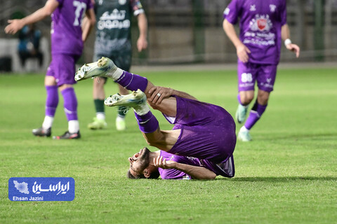 ذوب آهن - هوادار