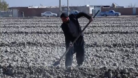 مسئولان در جبران تأثیرات کمبود بارندگی با کشاورزان همکاری کنند