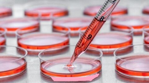 ضرورت تأمین کیت‌های تشخیصی با ارز دولتی