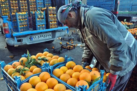 محصولات باغی و زارعی ایران به ۸۰ کشور جهان صادر می‌شود