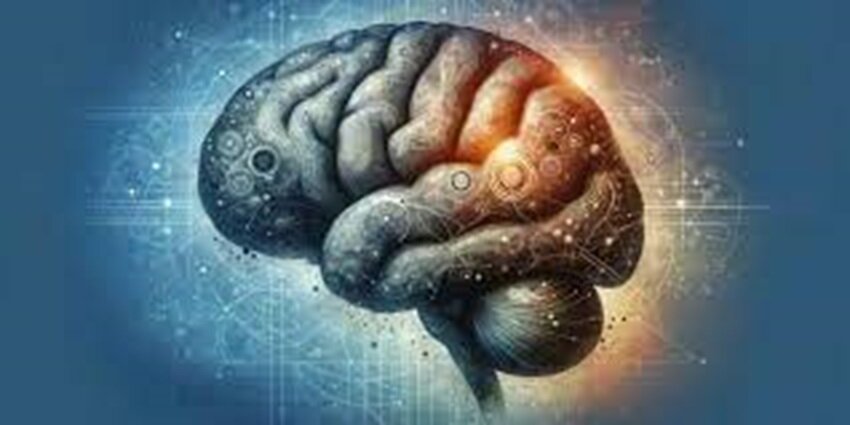 چاقی در مغز آغاز می‌شود!