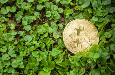 بازار رمزارزها در نخستین روزهای بهار سبز شد