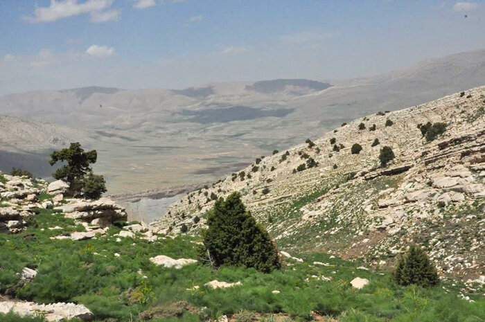 طبیعت‌گردی بی‌ضابطه؛ تهدید جدی برای گیاهان بومی اصفهان