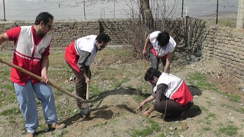 کاشت ۷ میلیون و ۹۰۰ هزار اصله نهال توسط جوانان هلال‌احمر