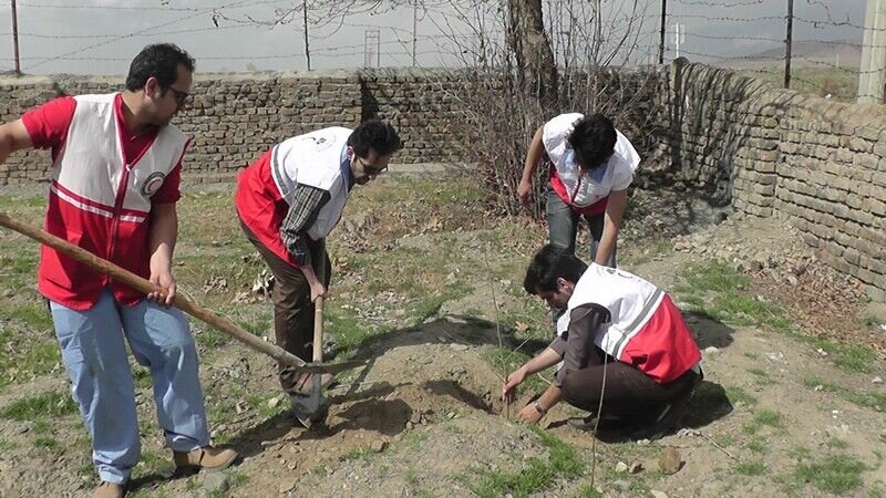 کاشت ۷ میلیون و ۹۰۰ هزار اصله نهال توسط جوانان هلال‌احمر