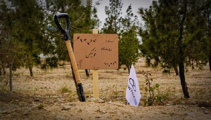 رویشگاه فونیکس با مشارکت مردم احداث شد