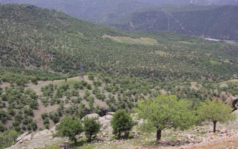 طبیعت ایران دیگر ظرفیت بهره‌برداری بی رویه را ندارد