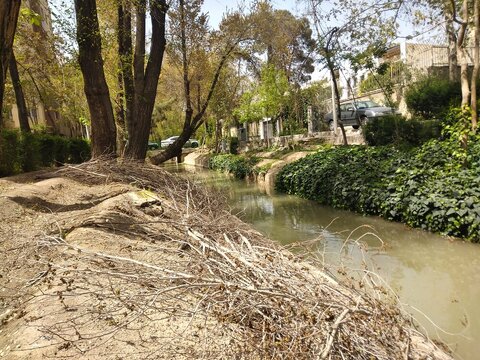 تهدید فضای سبز اصفهان با تشدید بحران خشکسالی