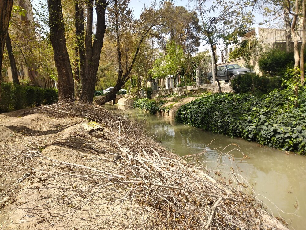 تهدید فضای سبز اصفهان با تشدید بحران خشکسالی