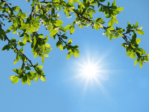 آسمان صاف در اغلب نقاط کشور