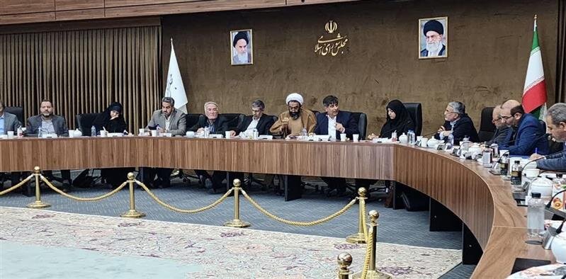 نمایندگان مجلس به کاهش محدودیت‌های انرژی صنایع کمک کنند 