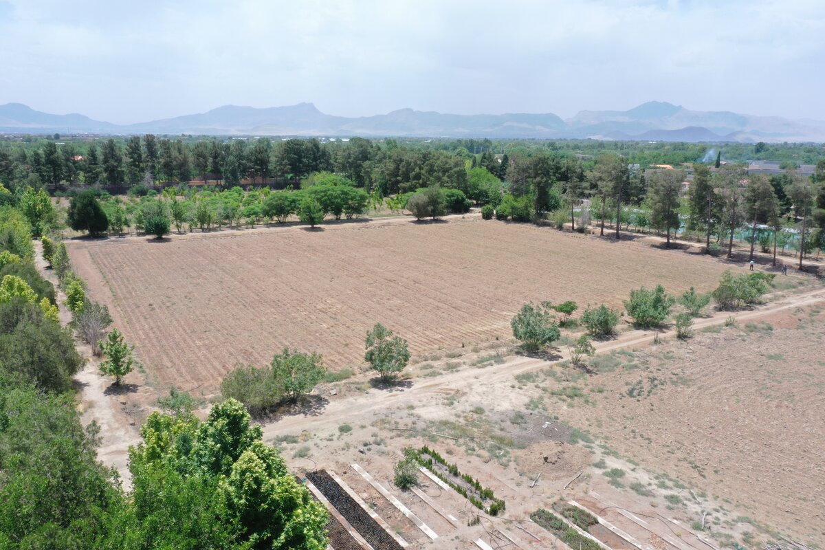 احیای نهالستان جبل عاملیان فلاورجان با حمایت فولاد مبارکه