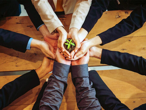 صلح شرط پایداری نوین