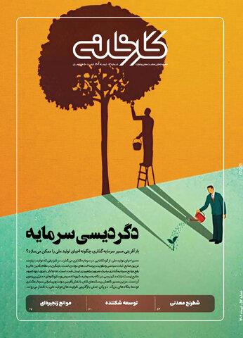 دگردیسی سرمایه