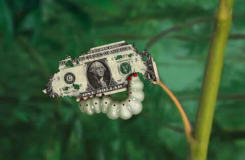 دماسنج تولید