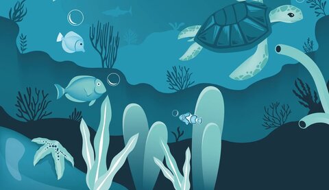 رقابت در مرز نهایی