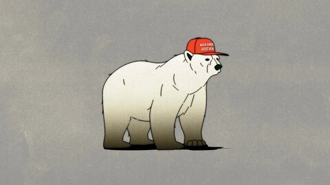 تراژدی خرس‌ها