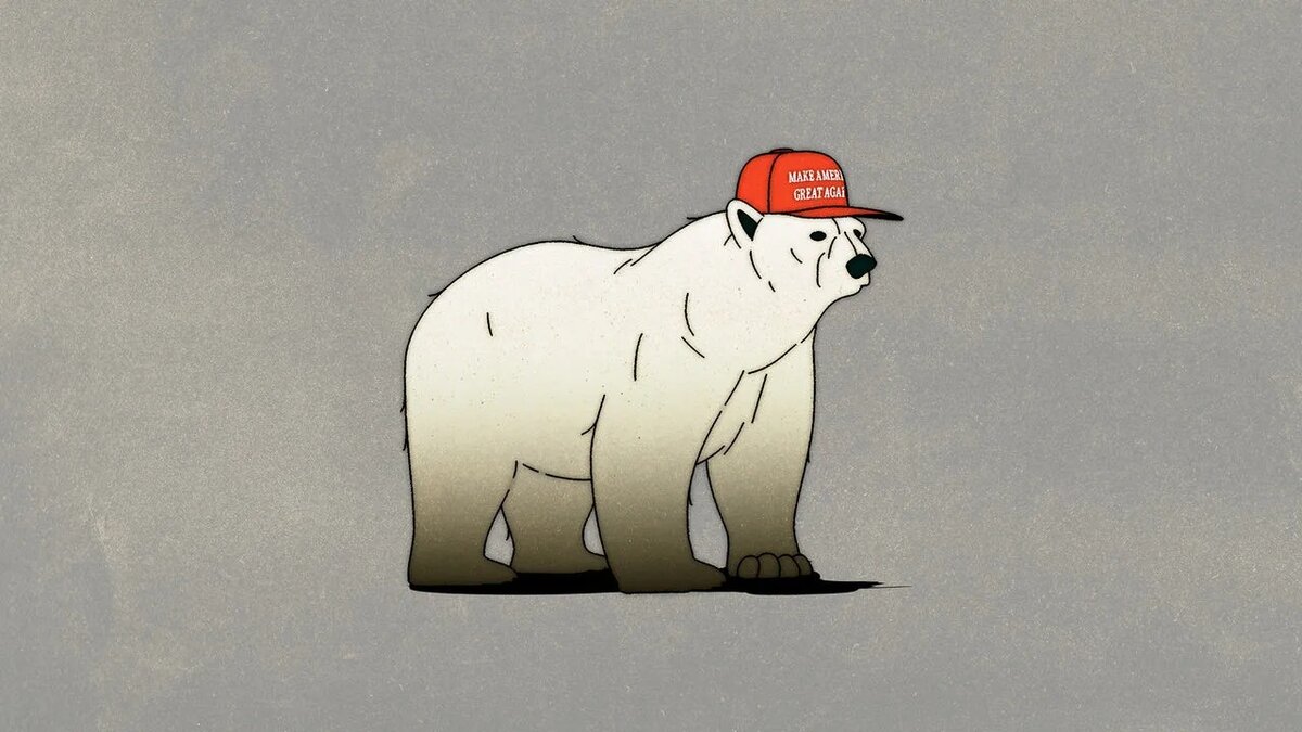 تراژدی خرس‌ها