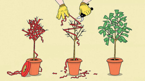 سود بر بادرفته