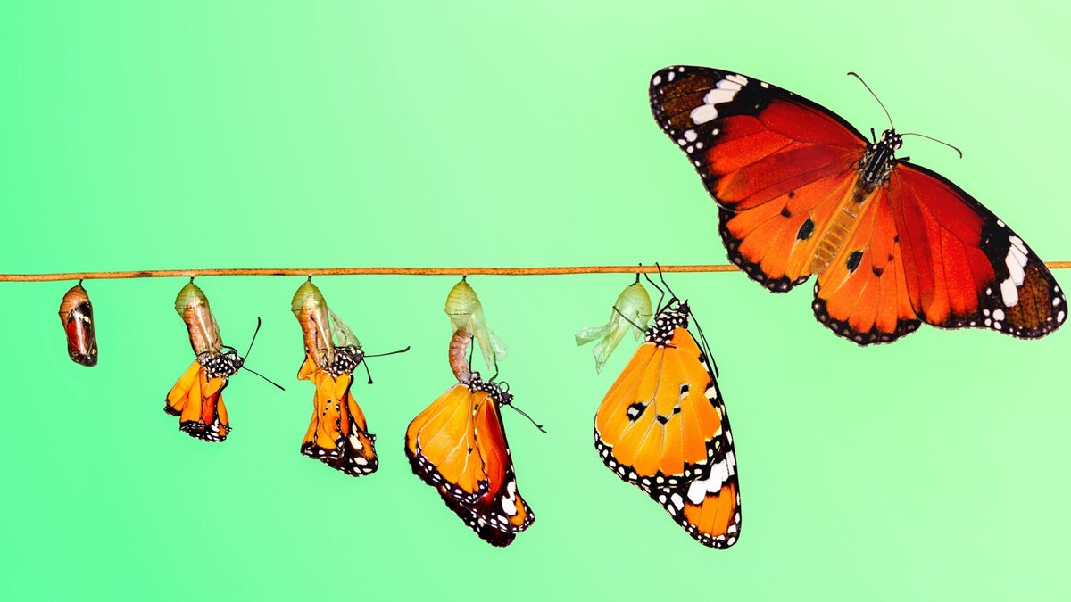 نگرانی چندبُعدی