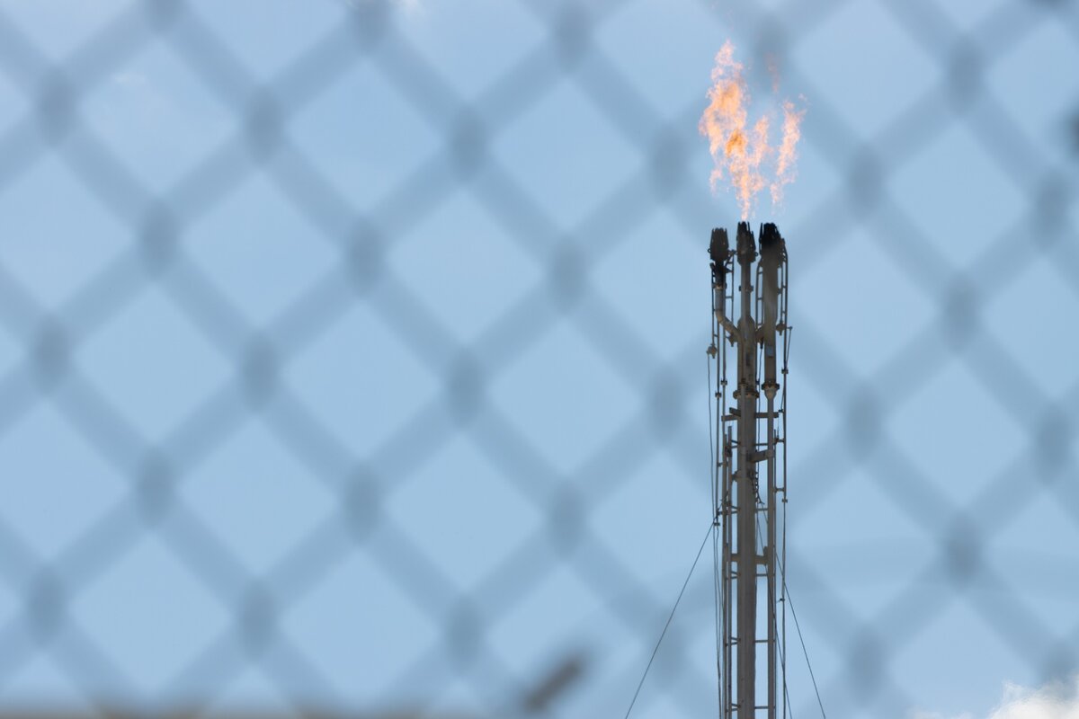 خودنمایی مشعل‌ها