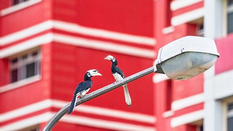 استراتژی هوشمندانه