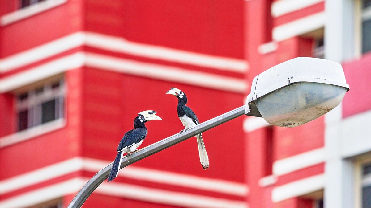 استراتژی هوشمندانه