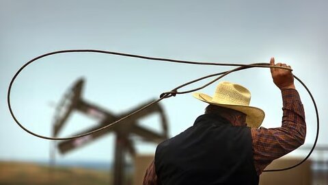 بندبازی زیست‌محیطی