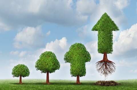 اکوسیستم متزلزل