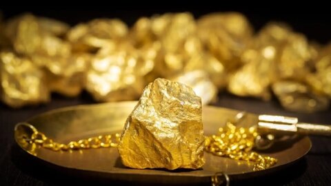 جهش چشمگیر سود آنتام