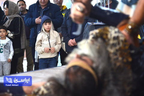 خانواده باکلاس، خانواده باکتاب 2