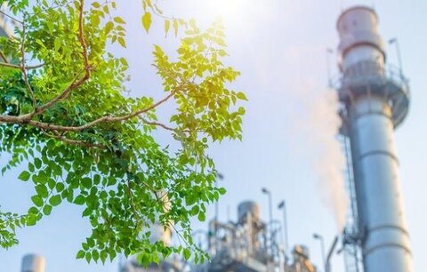 پلیت سیاه و بیوکک؛ انرژی پایدار صنعتی