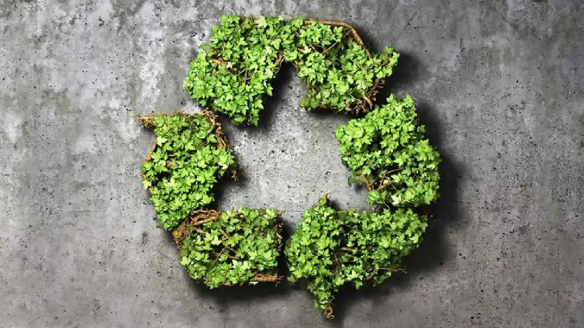 بتن سبز؛ نشان خلق ارزش از پسماند