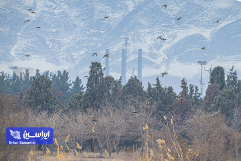 هم‌زیستی صنعت و طبیعت در قلب تولید