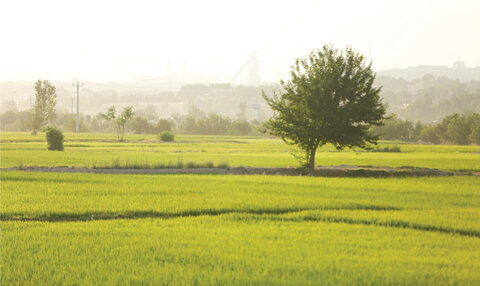 The Remarkable Crossroads of Nature and Industry