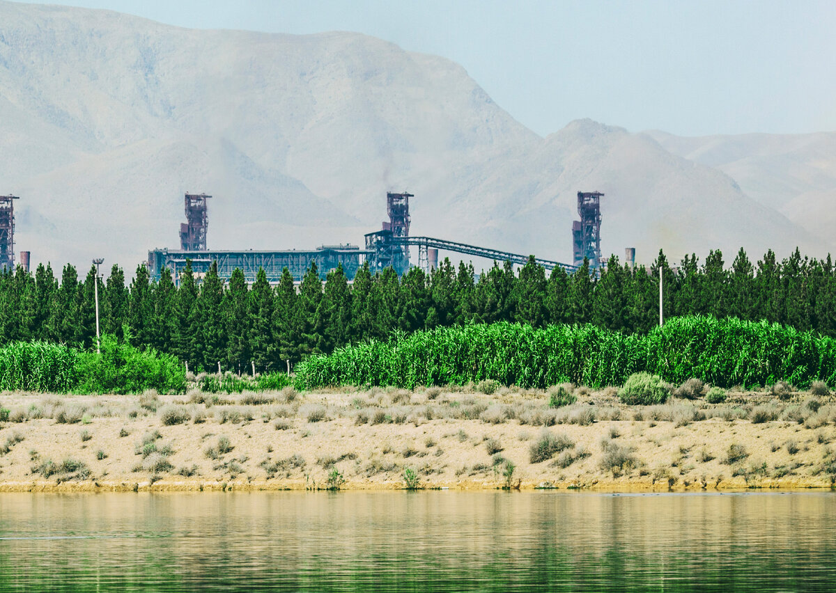 MSC: An Anchor of Stability and Power in the MENA Steel Market